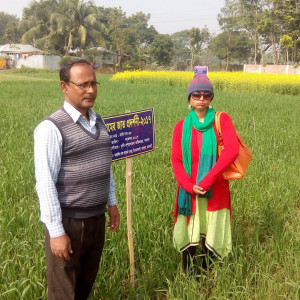 গম প্রদর্শনী